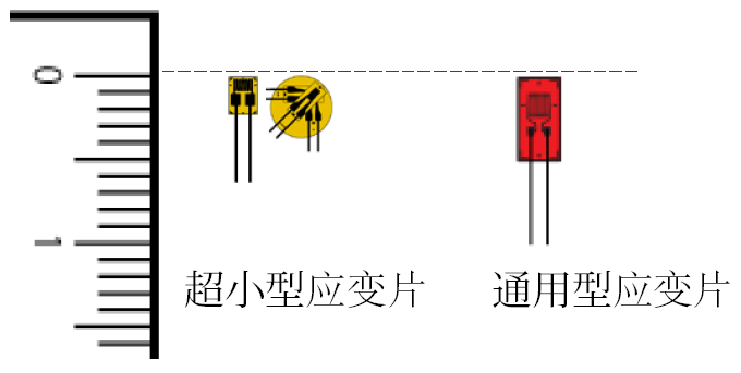 尊龙凯时人生就是搏(中国游)官方app下载